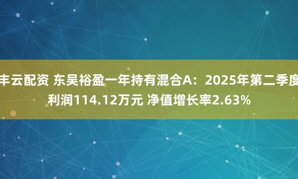 丰云配资 东吴裕盈一年持有混合A：2025年第二季度利润114.12万元 净值增长率2.63%
